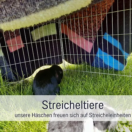 Bauernhof Finkel - Mit Balkon - Bergsicht - Traktor Mitfahren - Tiere Streicheln - Entspannter Familienurlaub - Zentrale Lage Nahe Oberstdorf *