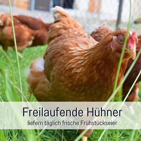 Lägenhet Bauernhof Finkel - Mit Balkon - Bergsicht - Traktor Mitfahren - Tiere Streicheln - Entspannter Familienurlaub - Zentrale Lage Nahe Oberstdorf *