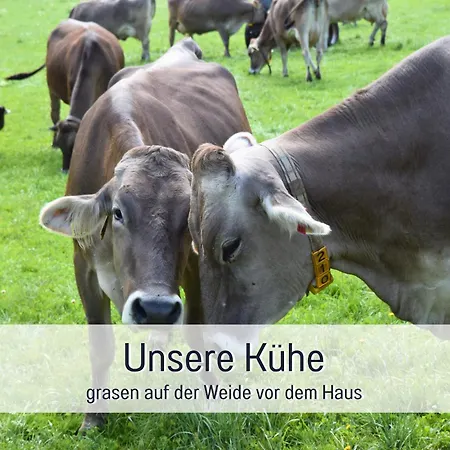 Lejlighed Bauernhof Finkel - Mit Balkon - Bergsicht - Traktor Mitfahren - Tiere Streicheln - Entspannter Familienurlaub - Zentrale Lage Nahe Oberstdorf *