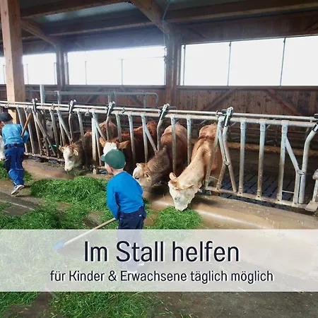 Bauernhof Finkel - Mit Balkon - Bergsicht - Traktor Mitfahren - Tiere Streicheln - Entspannter Familienurlaub - Zentrale Lage Nahe Oberstdorf Lejlighed