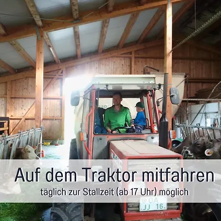 Lägenhet Bauernhof Finkel - Mit Balkon - Bergsicht - Traktor Mitfahren - Tiere Streicheln - Entspannter Familienurlaub - Zentrale Lage Nahe Oberstdorf *
