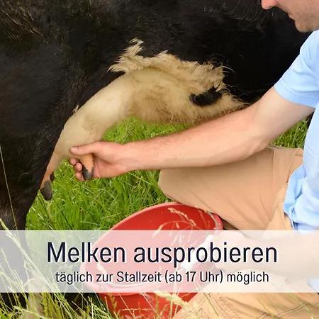 Bauernhof Finkel - Mit Balkon - Bergsicht - Traktor Mitfahren - Tiere Streicheln - Entspannter Familienurlaub - Zentrale Lage Nahe Oberstdorf Lägenhet Ofterschwang