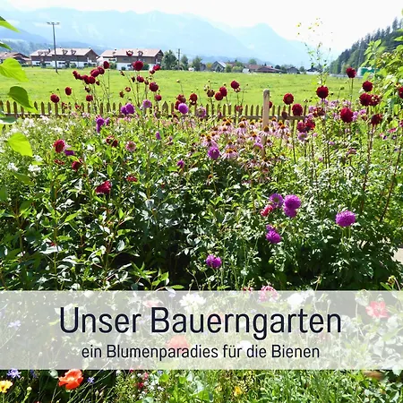 Lejlighed Bauernhof Finkel - Mit Balkon - Bergsicht - Traktor Mitfahren - Tiere Streicheln - Entspannter Familienurlaub - Zentrale Lage Nahe Oberstdorf *