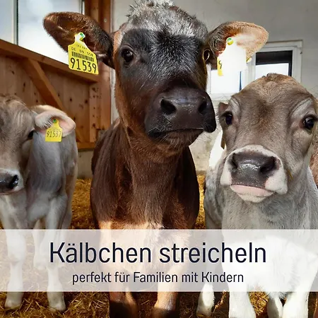 Bauernhof Finkel - Mit Balkon - Bergsicht - Traktor Mitfahren - Tiere Streicheln - Entspannter Familienurlaub - Zentrale Lage Nahe Oberstdorf Ofterschwang