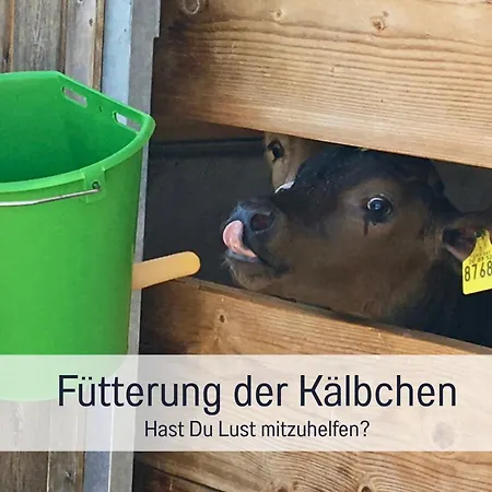 Bauernhof Finkel - Mit Balkon - Bergsicht - Traktor Mitfahren - Tiere Streicheln - Entspannter Familienurlaub - Zentrale Lage Nahe Oberstdorf *