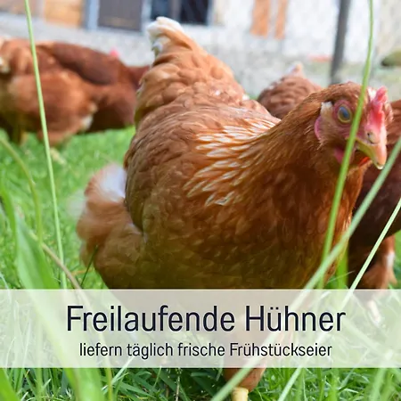 Bauernhof Finkel - Mit Balkon - Bergsicht - Traktor Mitfahren - Tiere Streicheln - Entspannter Familienurlaub - Zentrale Lage Nahe Oberstdorf *
