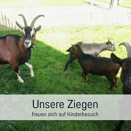 Lejlighed Bauernhof Finkel - Mit Balkon - Bergsicht - Traktor Mitfahren - Tiere Streicheln - Entspannter Familienurlaub - Zentrale Lage Nahe Oberstdorf Ofterschwang