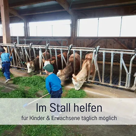 Bauernhof Finkel - Mit Balkon - Bergsicht - Traktor Mitfahren - Tiere Streicheln - Entspannter Familienurlaub - Zentrale Lage Nahe Oberstdorf Lejlighed