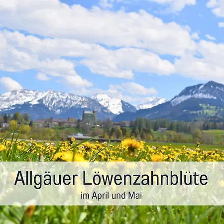 Bauernhof Finkel - Mit Balkon - Bergsicht - Traktor Mitfahren - Tiere Streicheln - Entspannter Familienurlaub - Zentrale Lage Nahe Oberstdorf Lejlighed Ofterschwang
