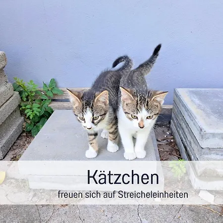 Bauernhof Finkel - Mit Balkon - Bergsicht - Traktor Mitfahren - Tiere Streicheln - Entspannter Familienurlaub - Zentrale Lage Nahe Oberstdorf Lejlighed